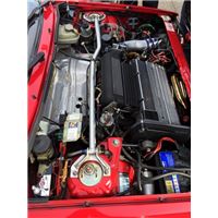 IMG_5340 (480x640).jpg
